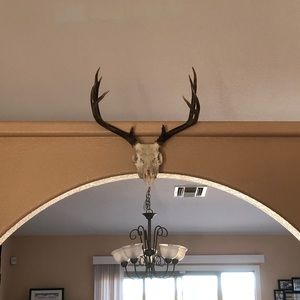 Meet your Posher, Klinton